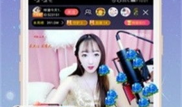 91直播区,揭秘热门直播平台的魅力与挑战